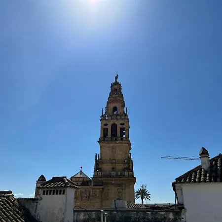 شقة Apartamento Los Califas A 100m De La Catedral
